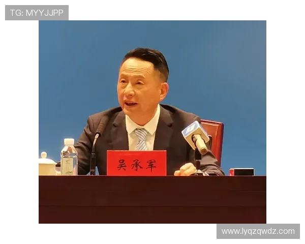 武汉排球队运营策略深度分析与发展前景探讨